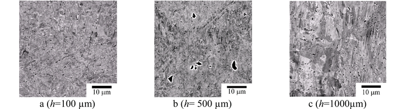 fig-5.jpg