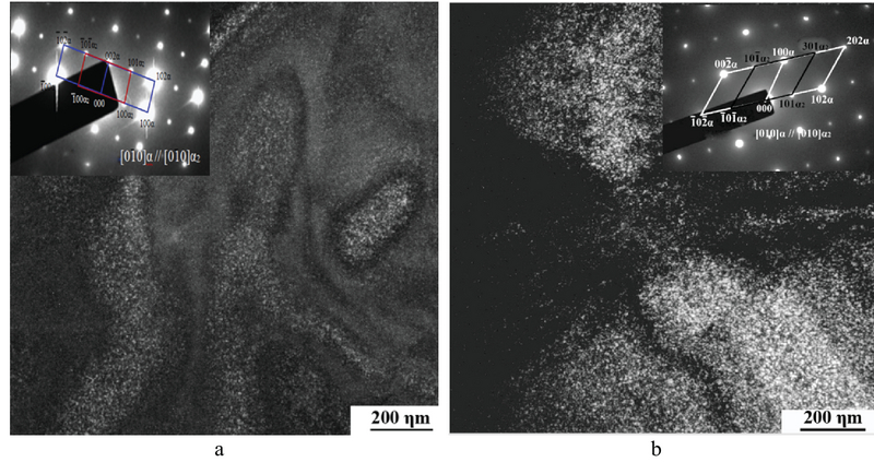 fig-2.jpg