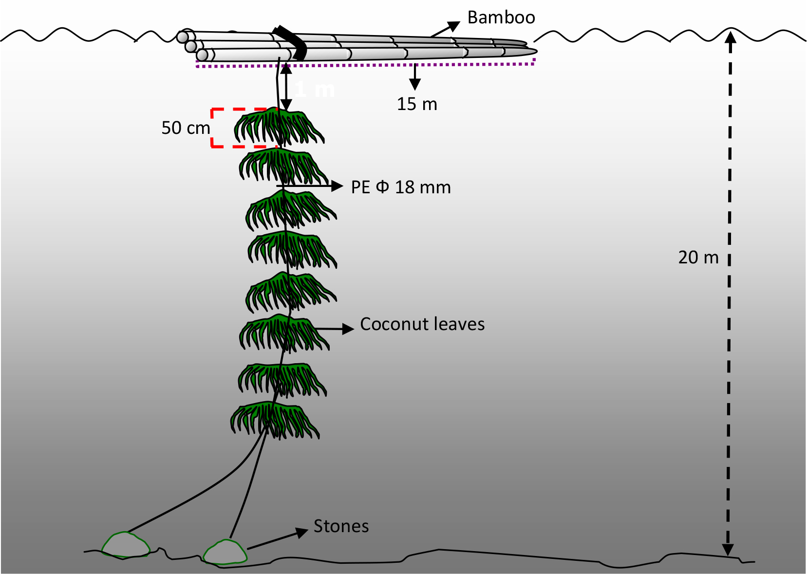 IMPACT OF FISH AGGREGATING DEVICE ON SUSTAINABLE CAPTURE FISHERIES