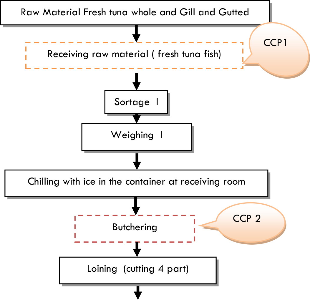 chart example haccp AND EVALUATION SAKU IMPLEMENTATION TUNA OF HACCP FROZEN