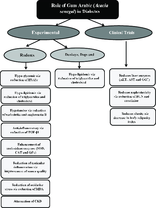 Effectiveness Of Gum Arabic In Diabetes And Its Complications A Narrative Review Sudan Journal Of Medical Sciences Sjms