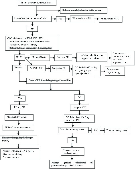 Premature ejaculation current concepts in the management A